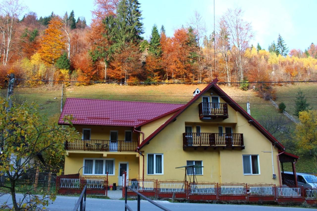 Гостевой дом Căsuța de lângă pădure Мойечу-де-Сус-4