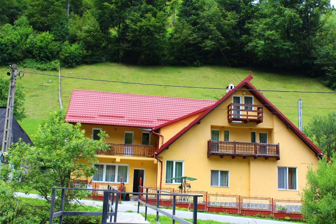 Гостевой дом Căsuța de lângă pădure Мойечу-де-Сус-43